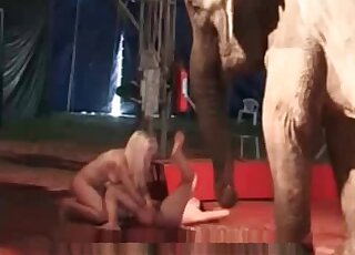Two whores make out in front of an elephant inside cicrus
