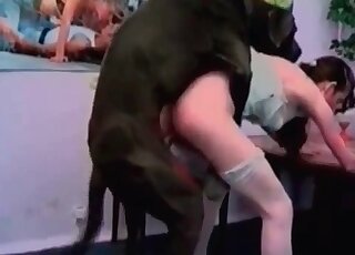 Massive black dog likes fucking tight holes of a cute hottie