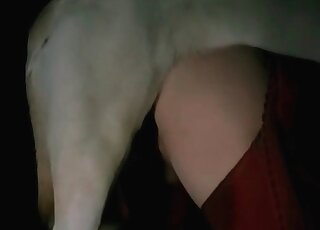 MILF shows her bubble ass and pussy to her dog and gets banged