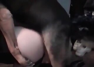 Blonde wife gets pleasure of teasing her dog’s cock and getting licked