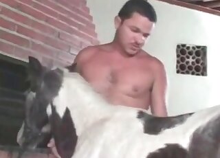 Nasty guy licks and fists a horse’s deep hole in a bestiality porn vid