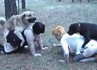 Horny dog sniffs at mature’s cunt and goes for it without hesitation