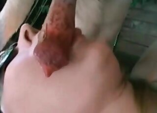 Perverted aged whore sucks canine’s cock before hardcore zoo fucking