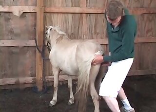Perverted zoophile strokes and licks a horse before an intercourse