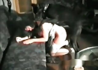 Black canine drills amazing cunt of a hot MILF and wags its tail