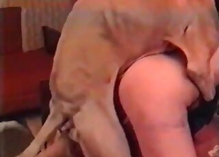 Blonde MILF is not going to miss a huge cock of a massive canine