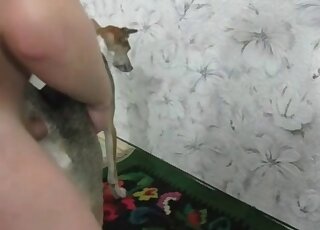 Weird dude bangs a dog indoors in a wild zoo porn session