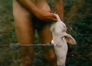 Dirty-minded zoophile dude fucks a sheep in a wild zoo porn scene