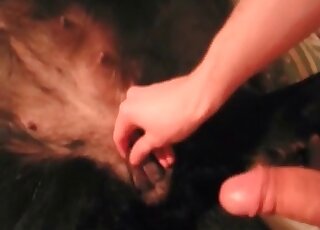 Wanker explores his female dog’s pussy with fingers in a hot scene