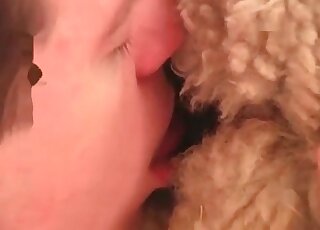 Nasty dude explores vagina of a sheep with his fingers and tongue