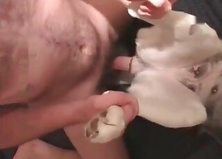Dude shoves cock in his female dog’s pussy fucks it on the bed