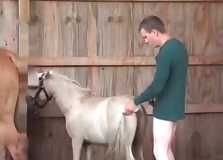 Wicked guy gives a deep fuck to a pony and enjoys the weird action