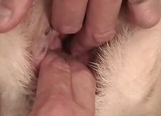 Weird zoophile guy shoves a sex toy into a deep hole of his pet dog