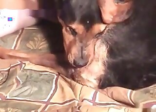 Crazy guy enjoys sexual intercourse with his dog in the bedroom