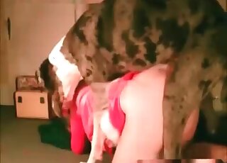 Trained dog likes fucking needy snatch of a relaxed mature vixen