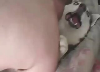 Guy enjoys his sex with a dog and craves for more in a hot XXX video