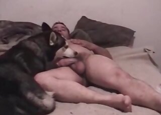 Insane zoophile takes his dog in bed to treat his wild desires