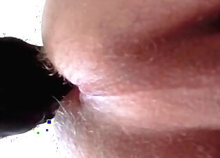 Closeup zoo porn video of a dog licking anus of a horny pervert