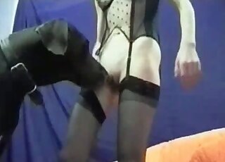 Black dog gladly takes slender blonde from behind and fucks her pussy