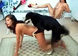 Two horny brunettes don't mind making out with one black doggie