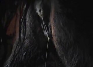 Bestiality sex loving guy screws a horse to get hot orgasms