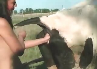 Dirty whore fists a cow and tickles its tits with her naughty tongue