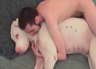 Crazy guy smashes dog’s pussy and delivers cum on its body