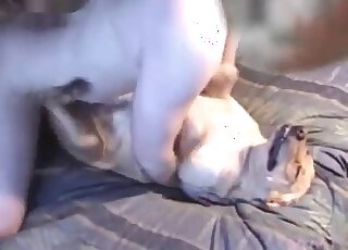 Wild dog fucker bangs his submissive animal in a missionary position