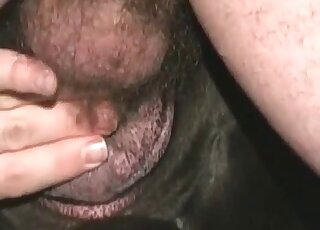 Zoo sex addicted guy gives a rough and deep fuck to his dog