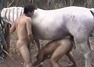 Lovely porn scene with a hung stallion and horny Latino dude