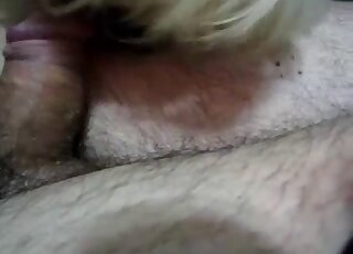Hairy cock zoophile inserting and seducing a horny dog in zoo XXX