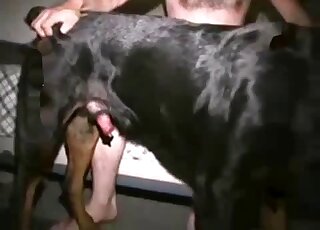 Doggystyle dog fuck movie with a gay zoophile that loves bottoming