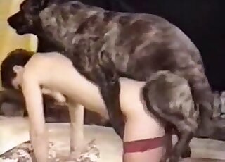 Red fishnets MILF getting fucked by a kinky dog with a nice peen