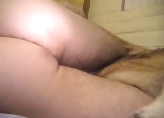 Zoophilic babe with a shapely ass fucks dog in a taboo video here