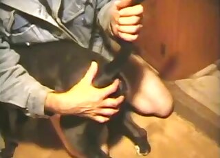 Gay anal sex tape featuring a zoophile dude and his black dog
