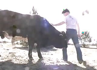 Outdoor male bestiality scene with a hung farmer and his kinky cow