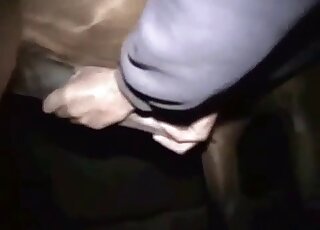 Dude earns a hot ejaculation after fiddling with throbbing horse cock