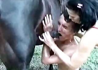 Filthy bitch slaps dude's face with an erected dick of a horse