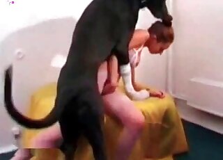 Big black dog takes hot chick in white stockings from behind