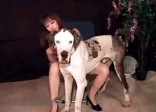 Naked slender chick can't wait to make out with her big doggie