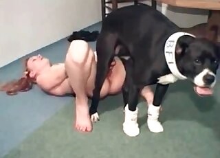 Black dog looks happy while fucking wet pussy hole of a naughty chick