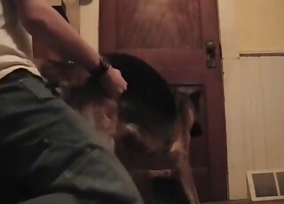 Dude uses his penis to fuck a dog on all fours and from behind