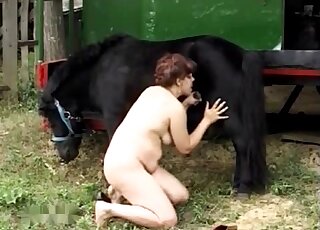 Outdoor pony blowjob from a chubby zoophile that wants hot dicks