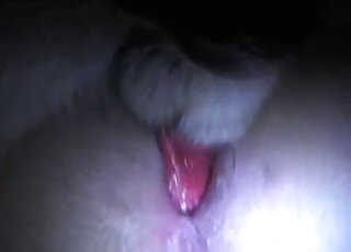 Closeup anal fucking with a dog that ruins human assholes on camera