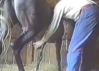 Huge horse cock pleasured by a kinky farmer in a zoo porn video