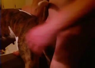 Awesome guy finds a way to make his pet cum in zoo porn here