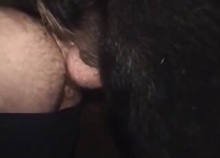 Black dog inserting its cock in a guy's hairy asshole in the dark