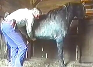 Blue jeans dude gives this farm animal a very passionate handjob
