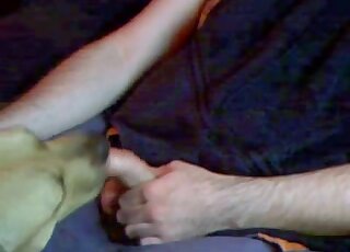 Uncut webcam dude feeding his meaty cock to his kinky animal