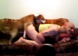 Skinny amateur zoophile crossdressing during gay dog anal fucking